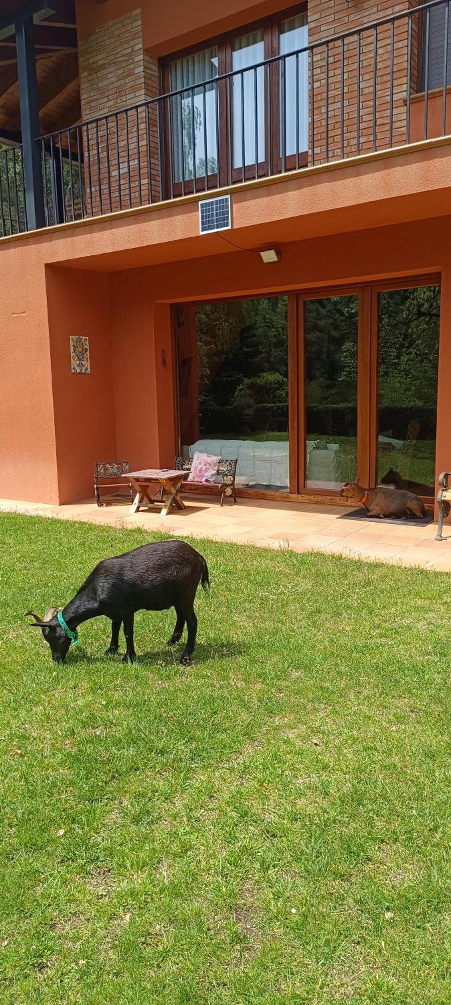 Ca La Montse Villa Виладрау Екстериор снимка